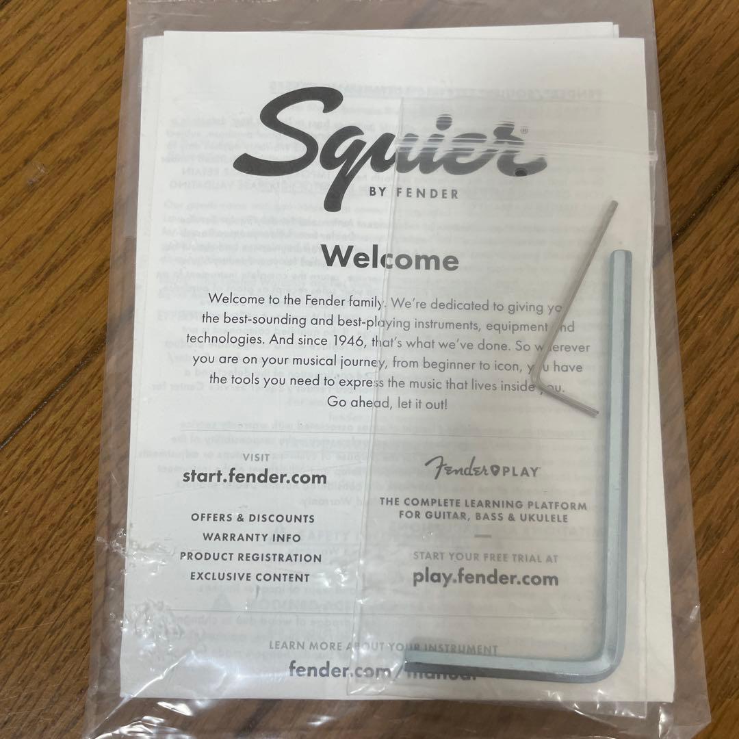 Squier Mini Jazzmaster HH (ソフトケース付)