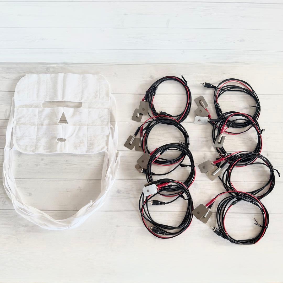 Biotron PRO 美顔器　バイオトロンプロ　カテオン電子　フェイス　ボディ