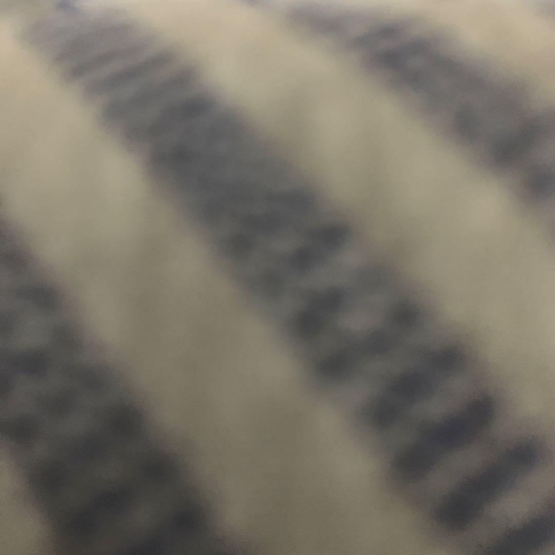 たまちゃん専用