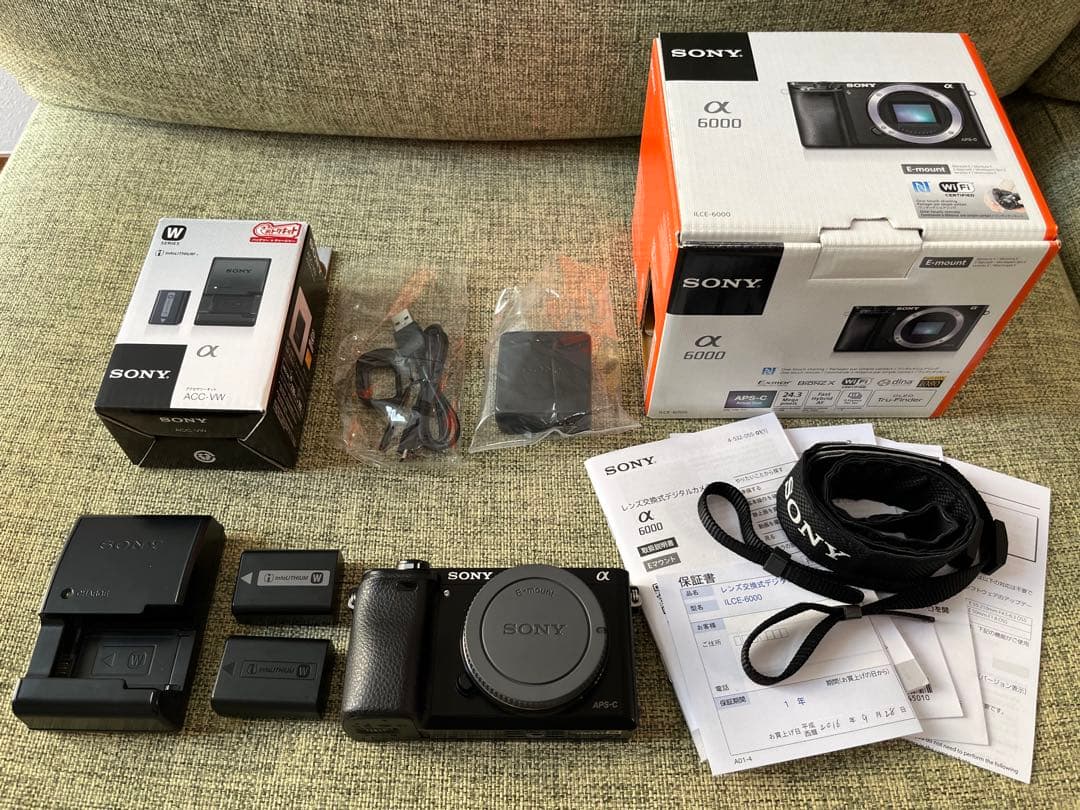 SONY α6000 ボディ(予備バッテリーと充電器付き)