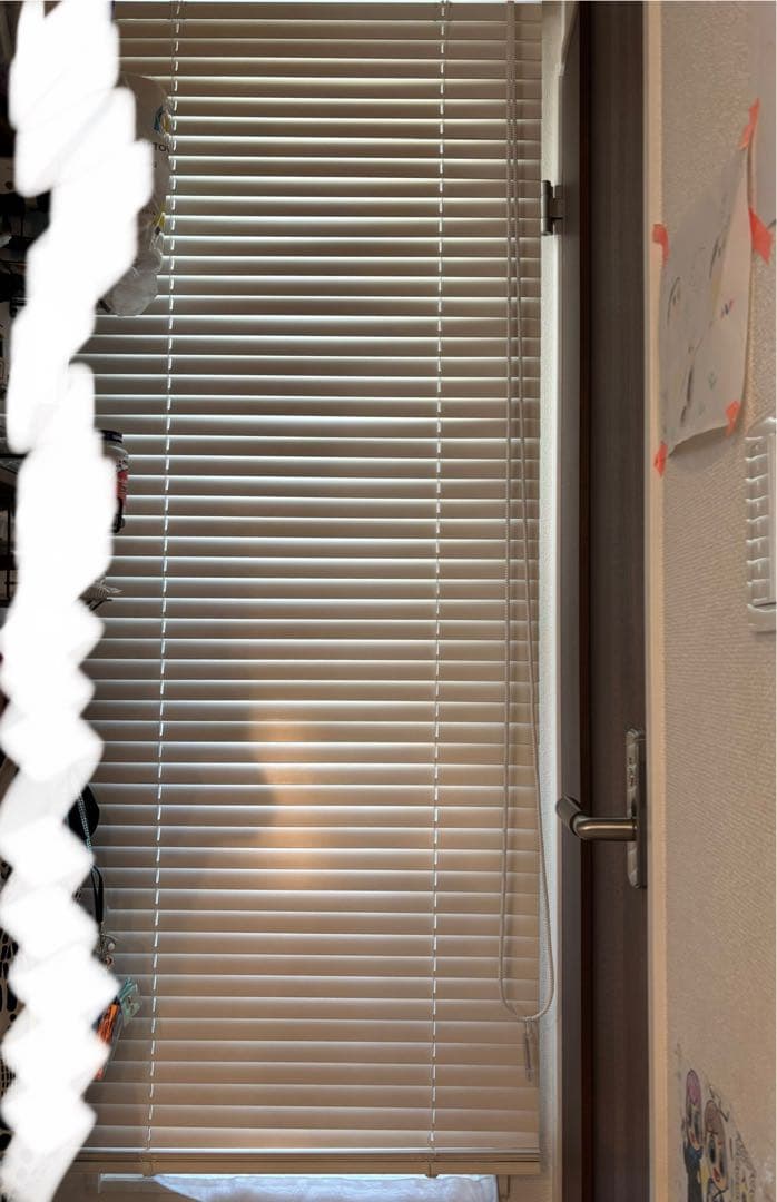 [未使用/新品]ウッドブラインド 立川機工 ループ操作 幅35mm 日本製