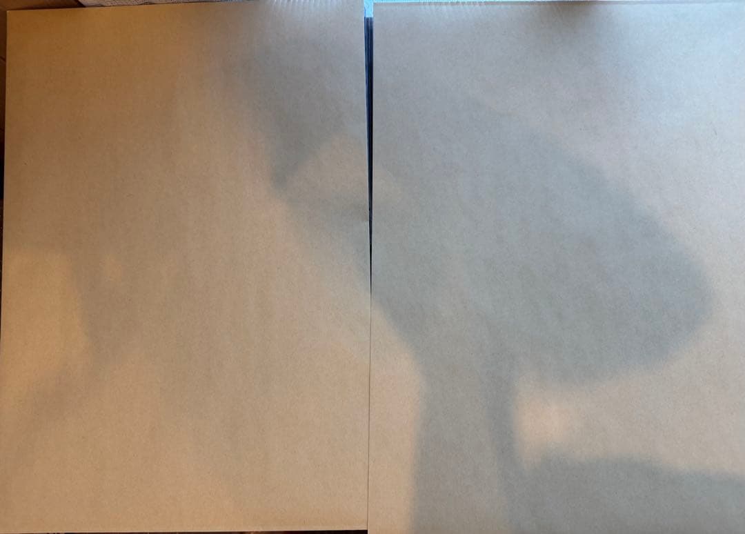 ヴァンパイア騎士　原画展　下絵2枚　原画　直筆