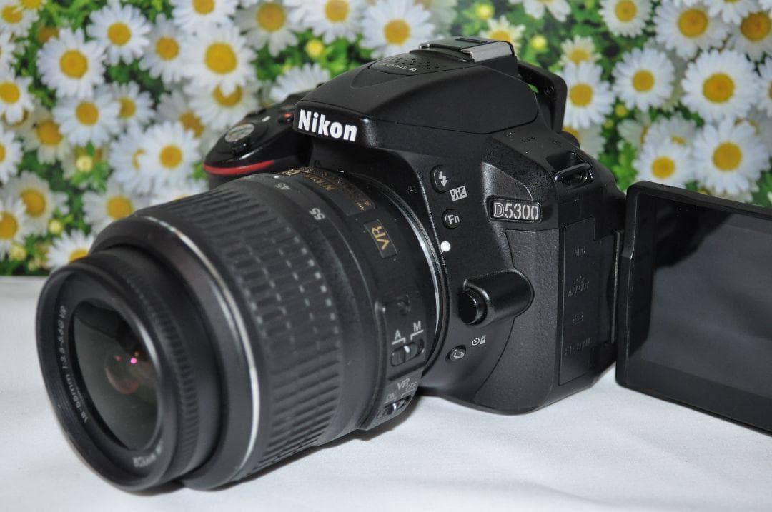 ❤️Wi-Fi搭載でスマホ転送❤️自撮り❤️Nikon D5300❤️超高性能