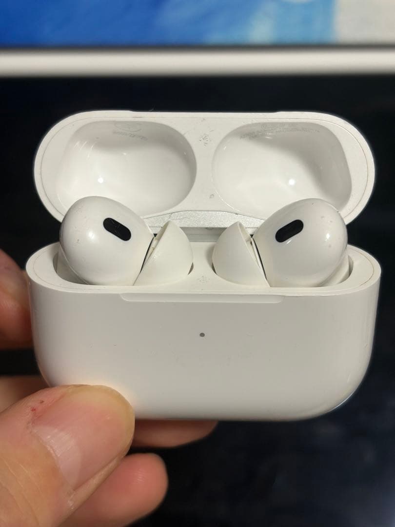 AirPods Pro 2 Lighting版