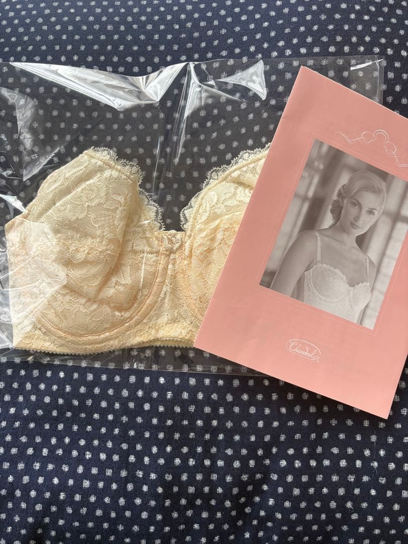 シャンデール　ブラ新品未使用