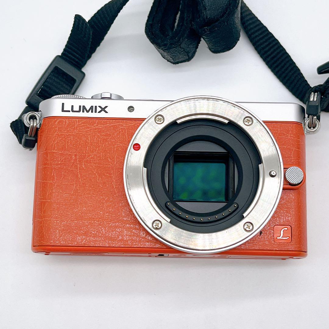 【美品】Panasonic LUMIX DMC-GM1 ミラーレス一眼