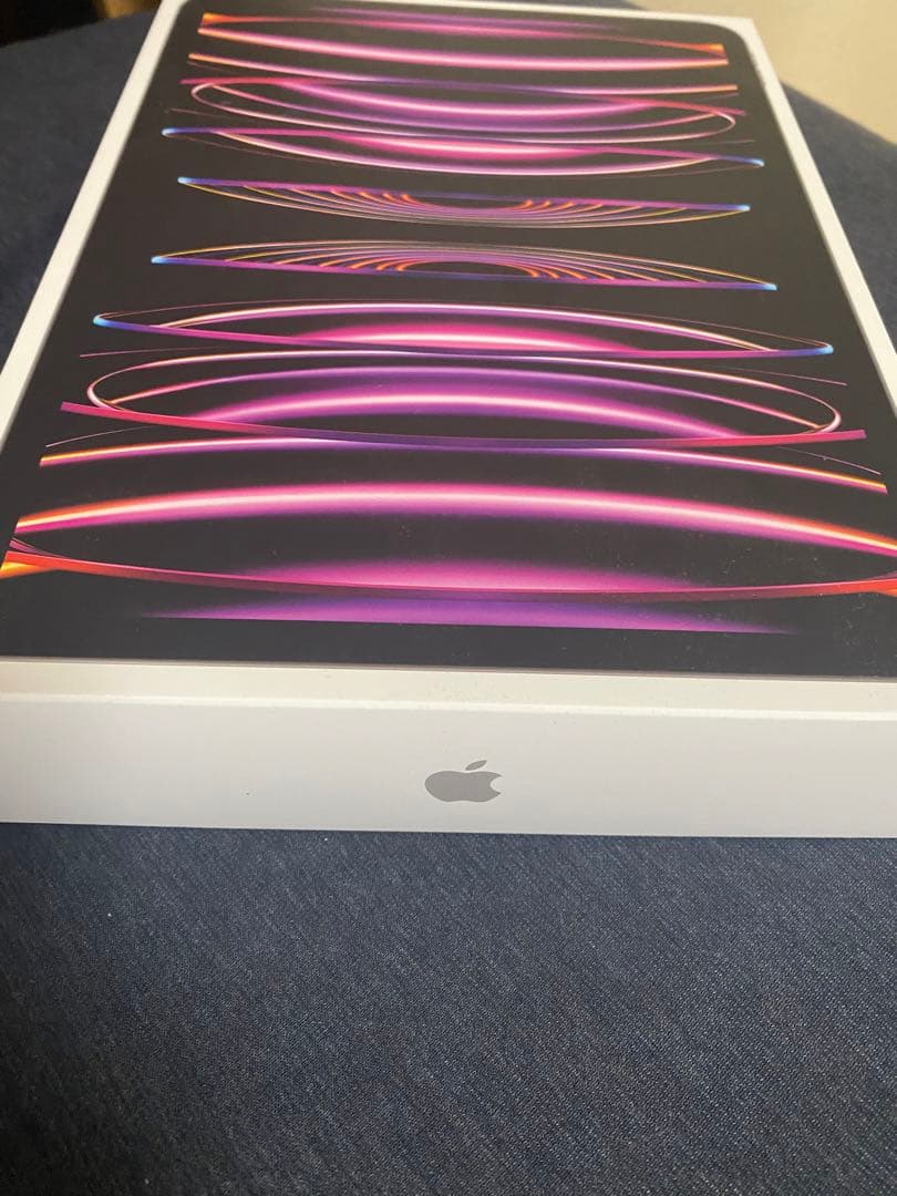 iPad Pro第4世代128G Wi-Fi　11インチスペースグレー値下げ不可