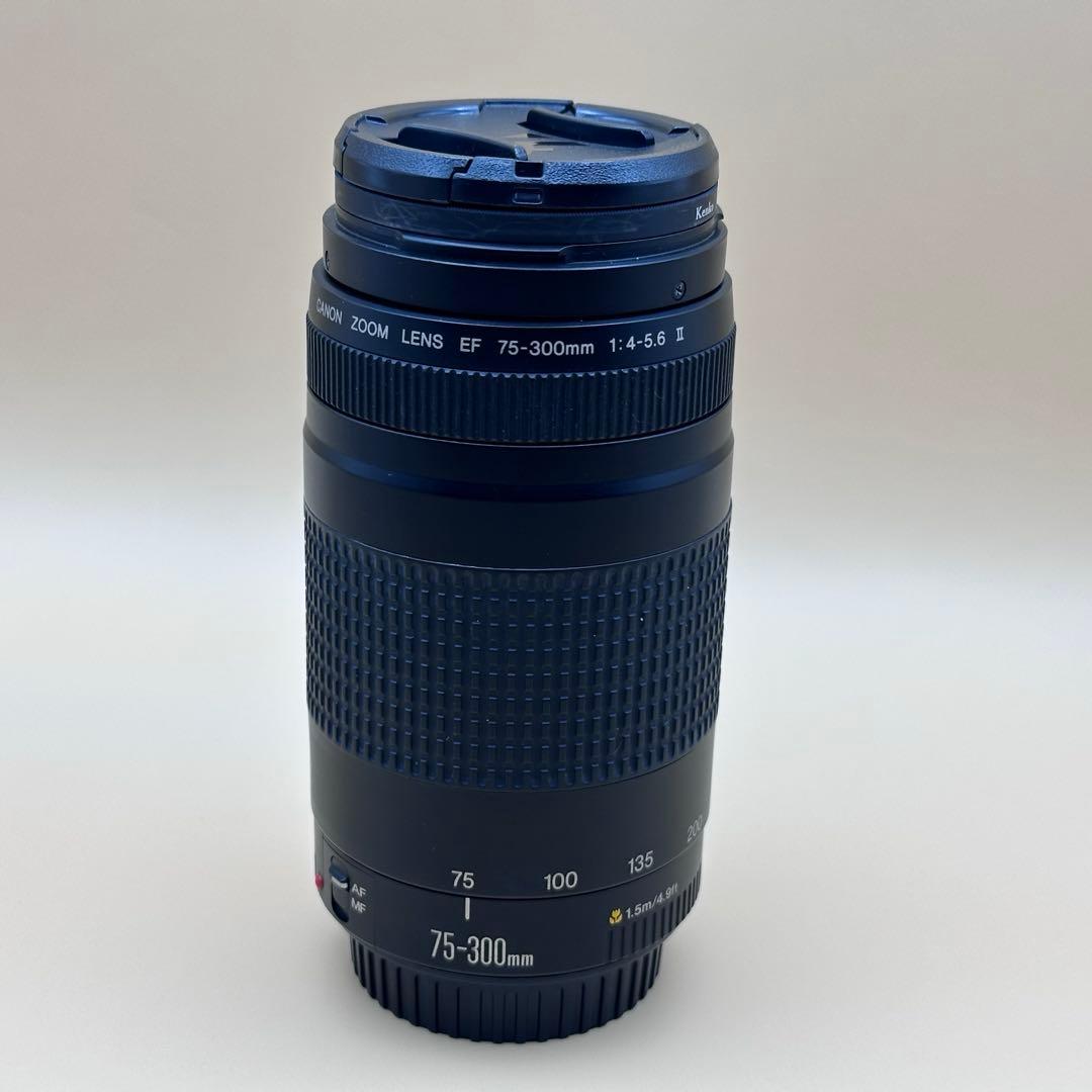 EF75-300mm F4-5.6 Ⅱ