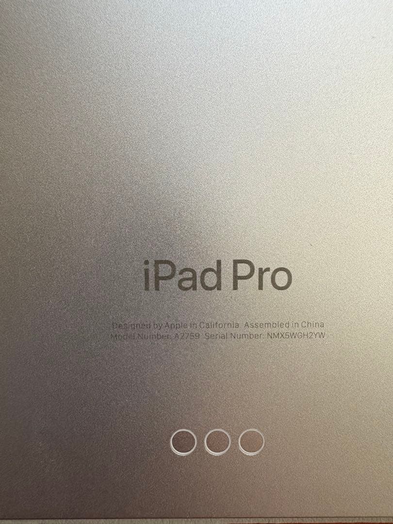 Apple iPad Pro (11インチ) 第4世代 256GB