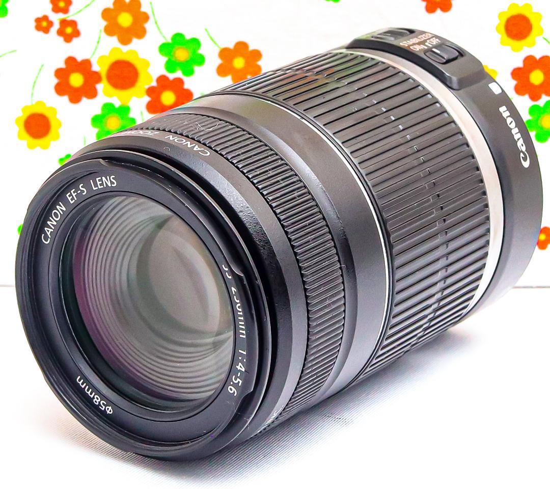 美品 キャノン Canon EF-S 55-250mm IS☆お手軽望遠レンズ♪