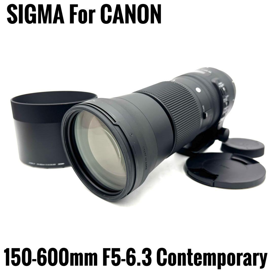 美品 SIGMA 150-600mm F5-6.3 CANON EF マウント用