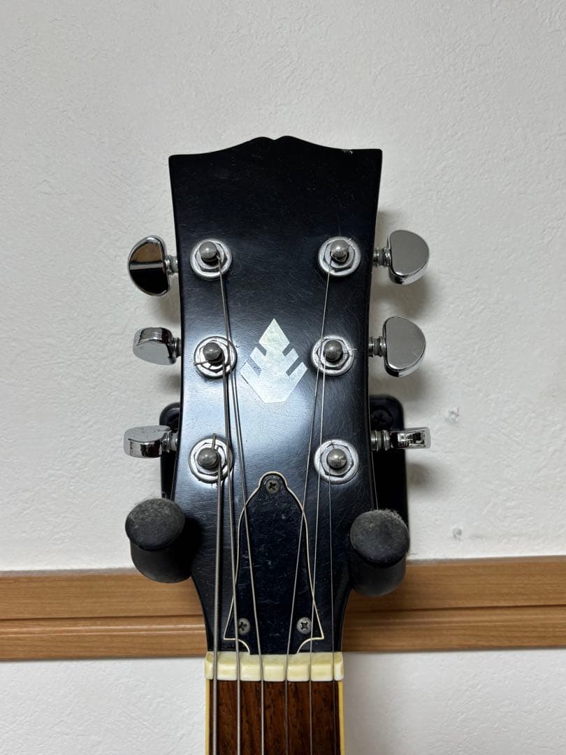 h*k様 SGタイプ　メーカー不明