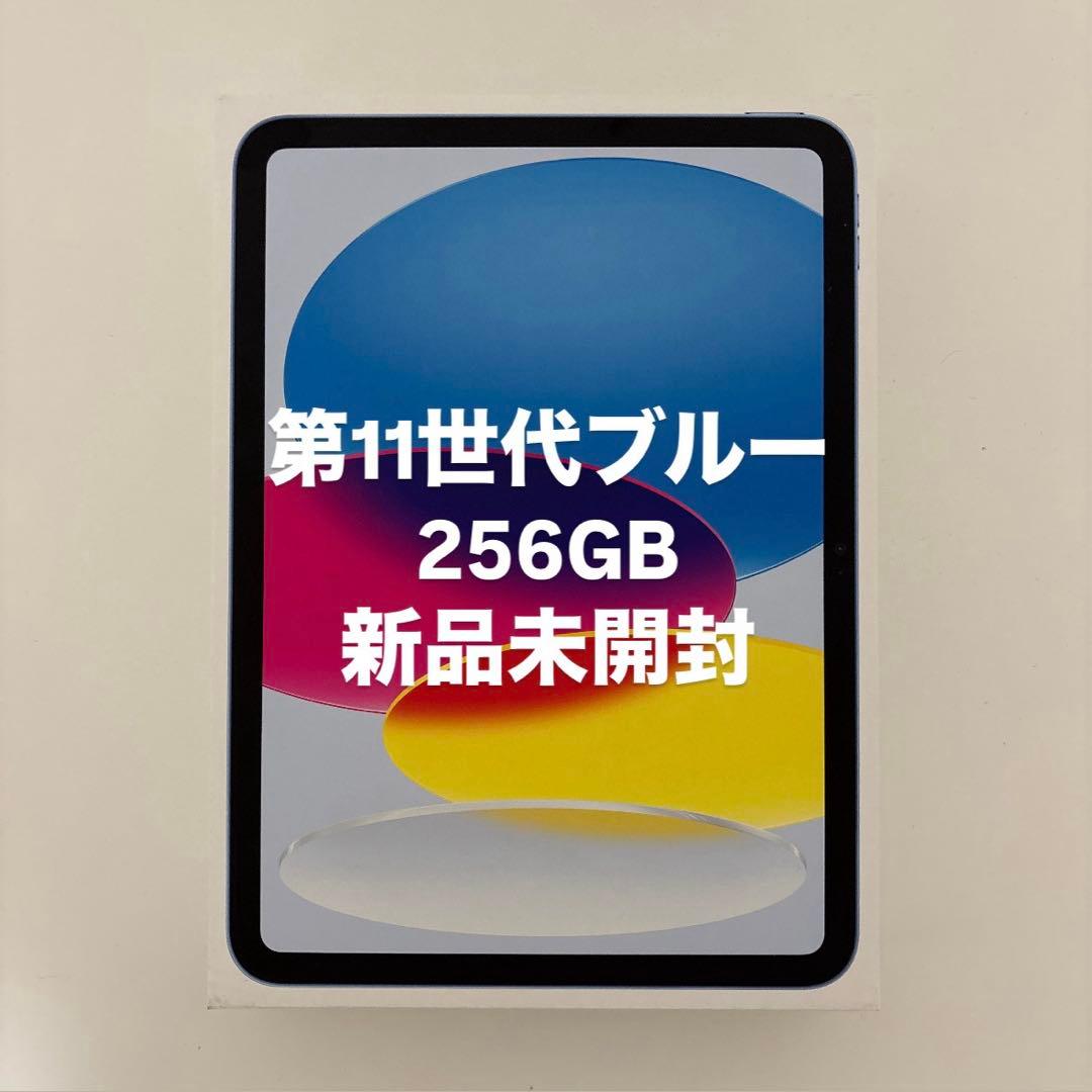iPad 第11世代 (A16) Wi-Fi 256GB ブルー